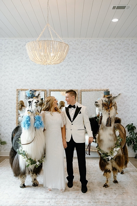 Fun Wedding Llama Photos