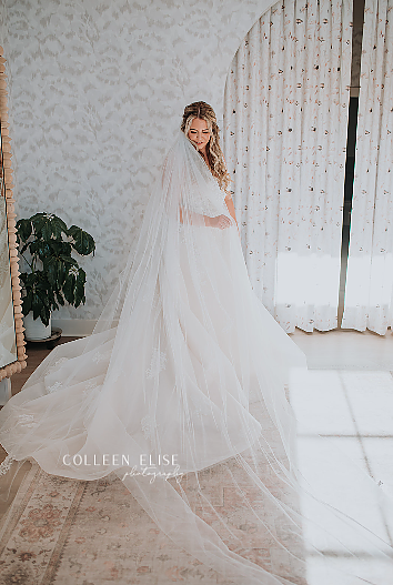 Bridal Photo with Veil